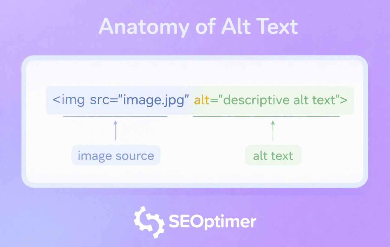 Alt-Text Anatomie